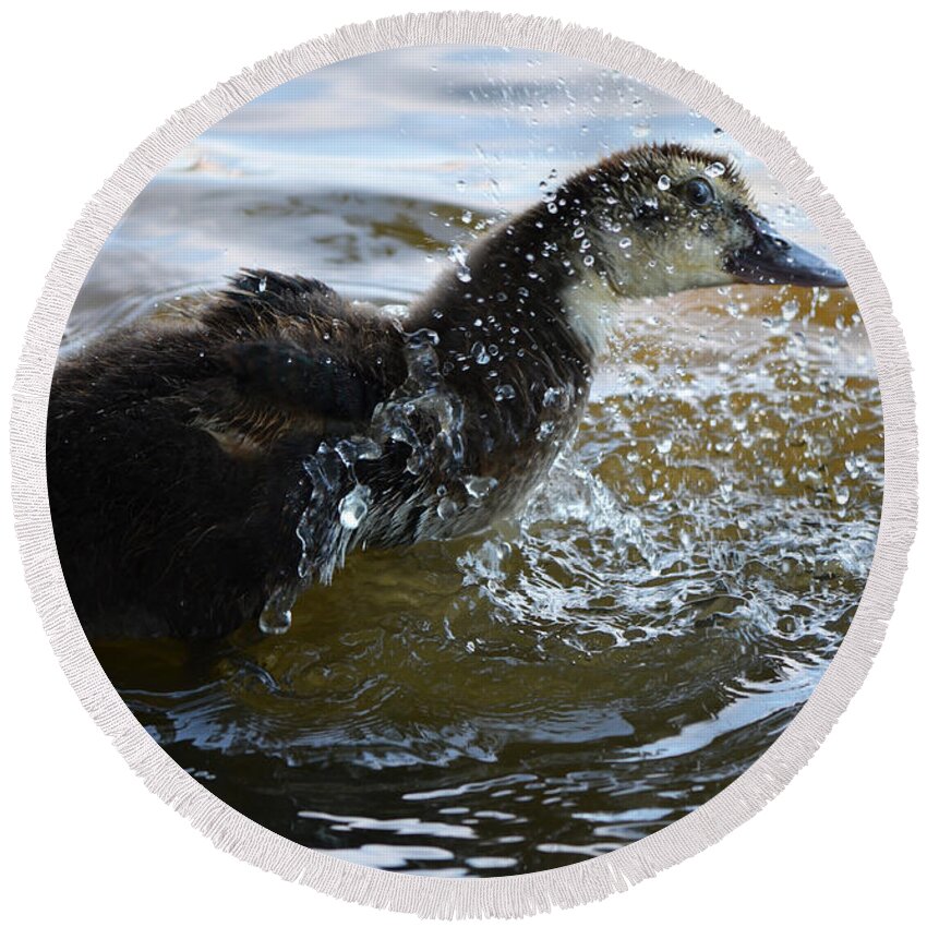 Duck Round Beach Towel featuring the photograph Bath Time by Maggy Marsh