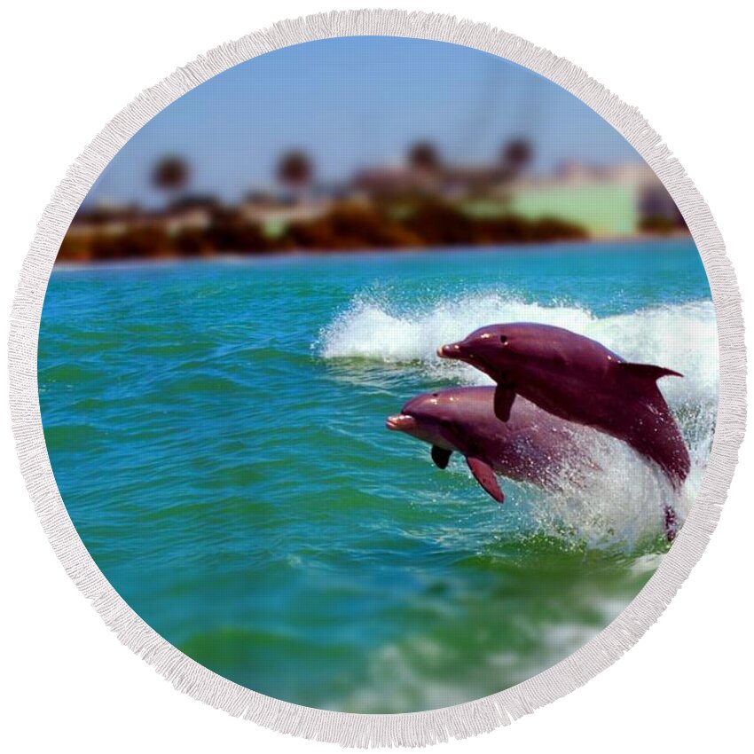 Clearwater Round Beach Towel featuring the photograph Bay Dolphins by Joseph Desiderio