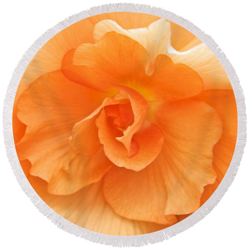 Begonia Round Beach Towel featuring the photograph Begonia Beauty by Venetia Featherstone-Witty
