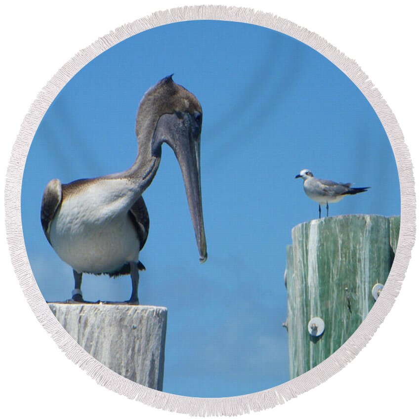 Pelican Round Beach Towel featuring the photograph Beat It by Greg Graham