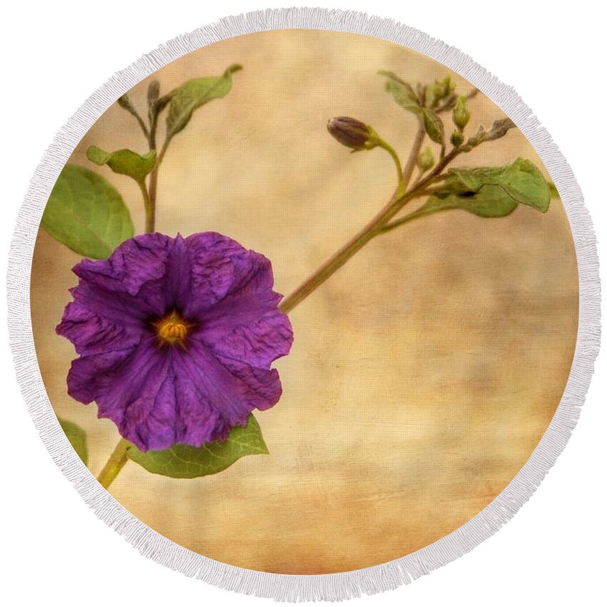 Potato Vine Round Beach Towel featuring the photograph Beautiful Nightshade by Peggy Hughes
