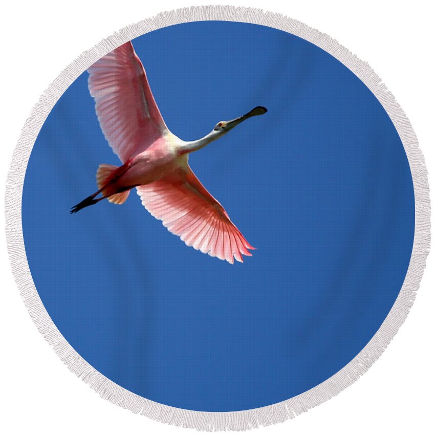 Winter Round Beach Towel featuring the photograph Beautiful Pink Roseate Spoonbill by Sabrina L Ryan