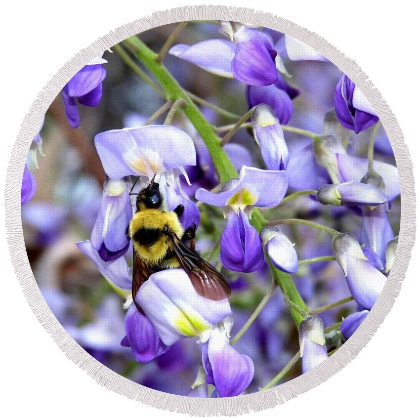 Bee In The Wisteria Round Beach Towel featuring the photograph Bee In The Wisteria by Will Borden