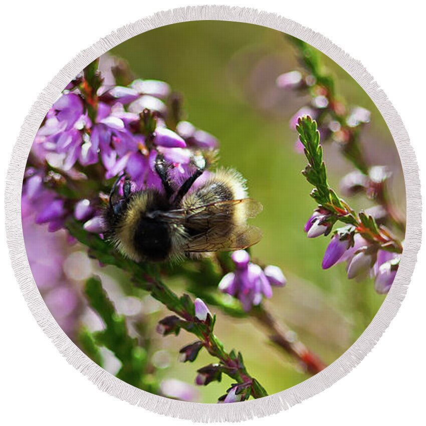 Animal Round Beach Towel featuring the photograph Bee on heather by Roberto Pagani