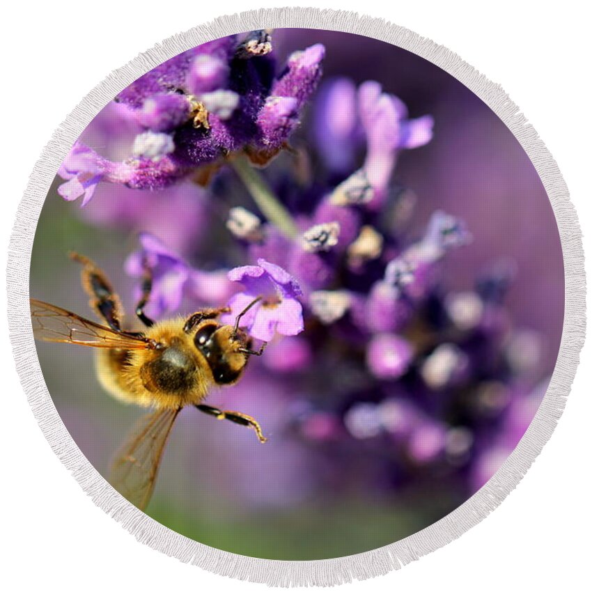 Bee Round Beach Towel featuring the photograph Bee on the Lavender Branch by Amanda Mohler