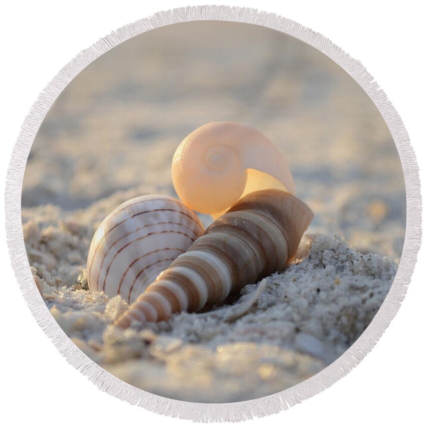 Seashells Round Beach Towel featuring the photograph Beginning Again by Melanie Moraga
