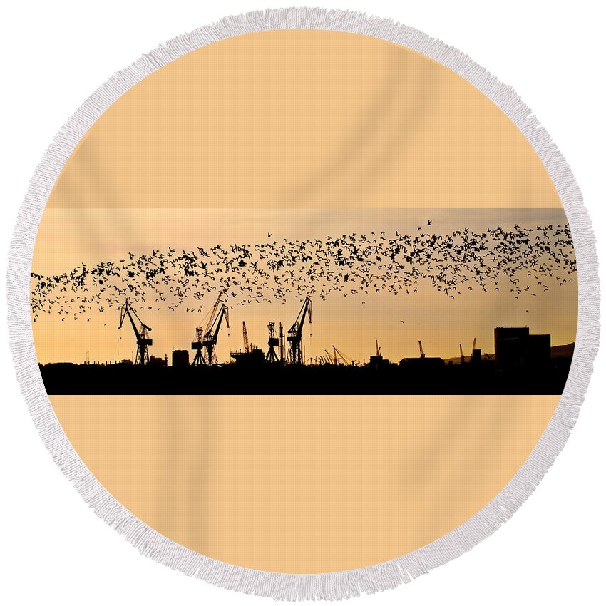 Belfast Round Beach Towel featuring the photograph Belfast Swarm by Nigel R Bell