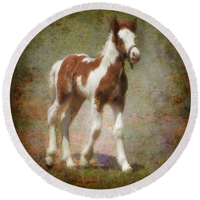 Gypsy Horse Round Beach Towel featuring the mixed media Bella Rose by Fran J Scott