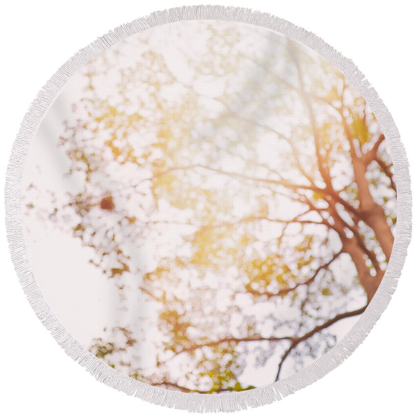 Abstract Round Beach Towel featuring the photograph Beneath a tree 14 5284 square by U Schade