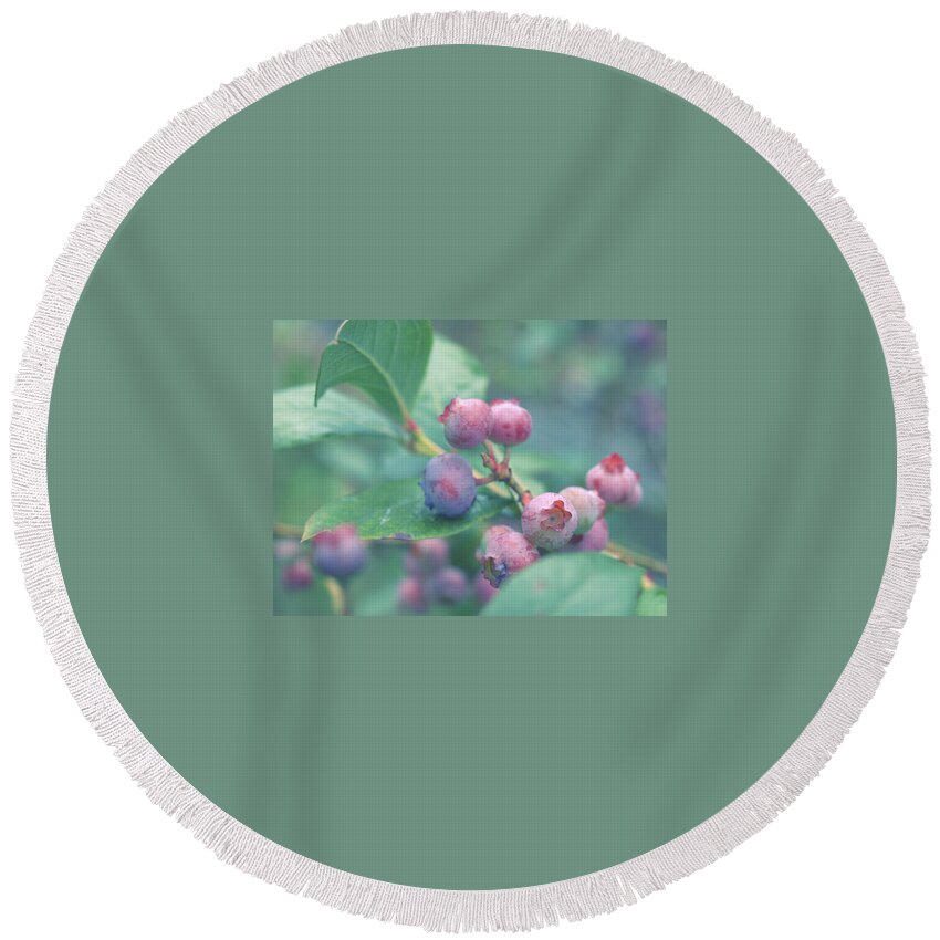 Berries Round Beach Towel featuring the photograph Berries for You by Yuka Kato