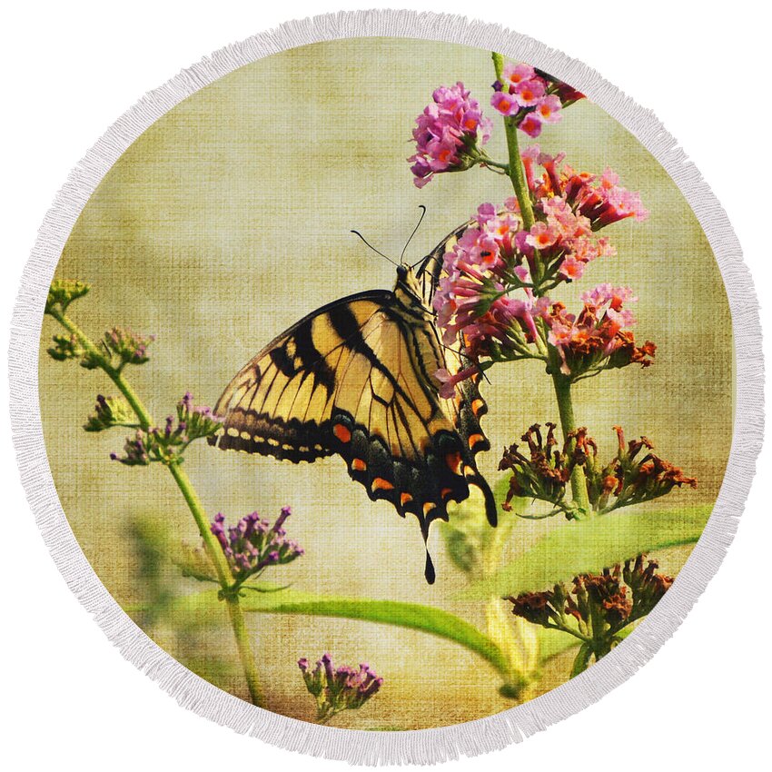 Butterfly Round Beach Towel featuring the photograph Best View by Judy Wolinsky