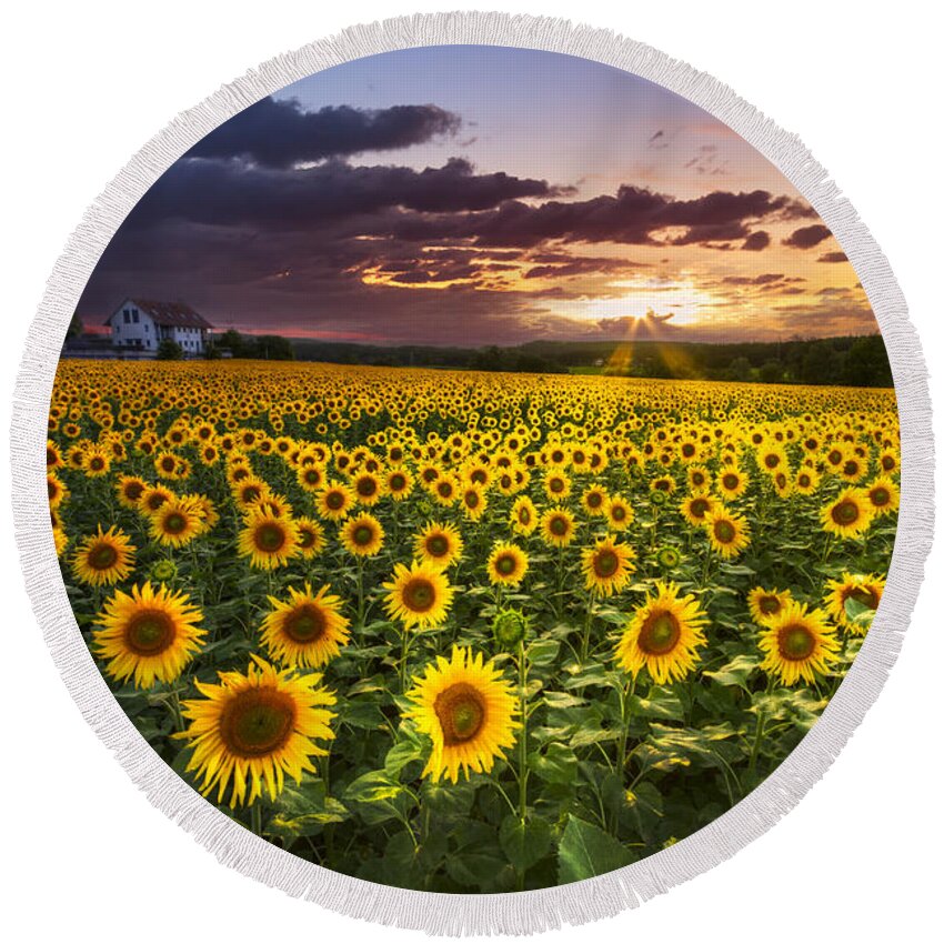 Appalachia Round Beach Towel featuring the photograph Big Field of Sunflowers by Debra and Dave Vanderlaan