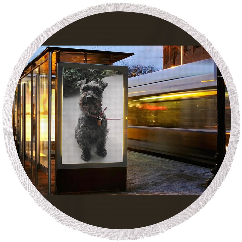 Dog Round Beach Towel featuring the photograph Billboard Siren by Pat Purdy
