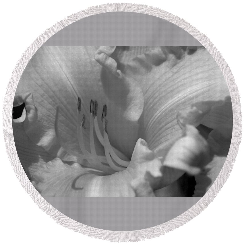 #ruffles #petals #white #black #specialty #blooming #daylily #digitalcolor Round Beach Towel featuring the photograph Delicate Black And White Daylily by Belinda Lee