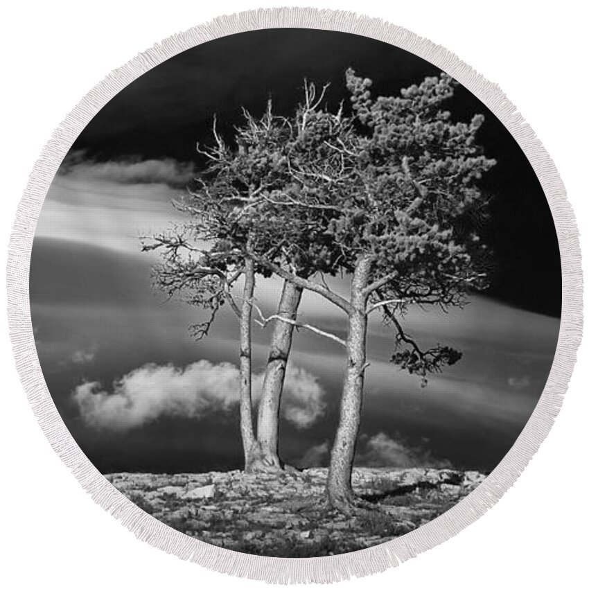 Art Round Beach Towel featuring the photograph Black and White Photograph Trees on a rocky ridge at Glacier National Park by Randall Nyhof