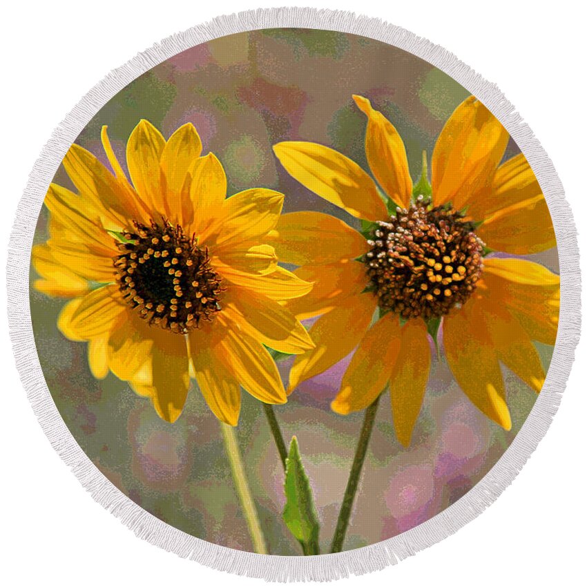  Round Beach Towel featuring the photograph Black-eyed Susan by Matalyn Gardner