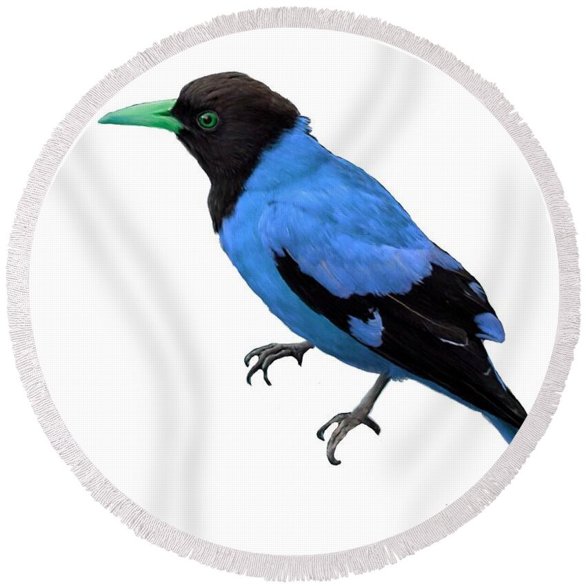 Blue Round Beach Towel featuring the painting Black Hooded Blue Oriole by Bruce Nutting