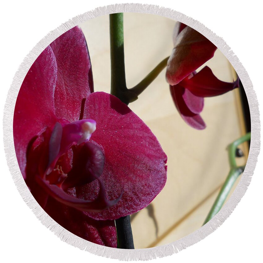 Orchid Round Beach Towel featuring the photograph Black Orchid by Ramona Matei