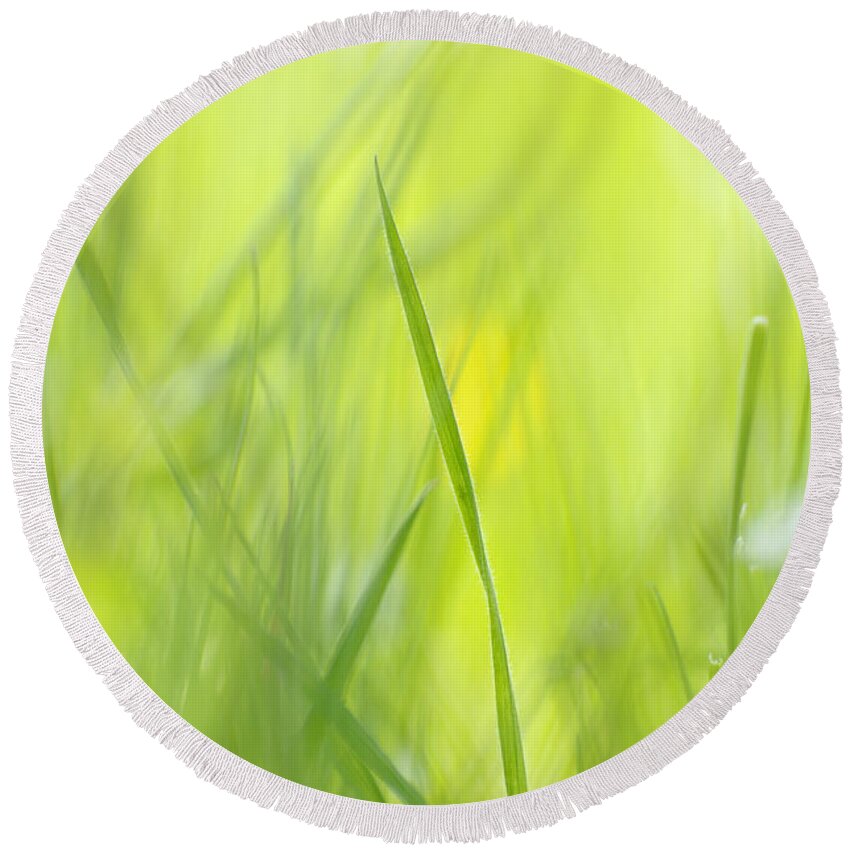 Spring Round Beach Towel featuring the photograph Blades of grass - green spring meadow - abstract soft blurred by Matthias Hauser