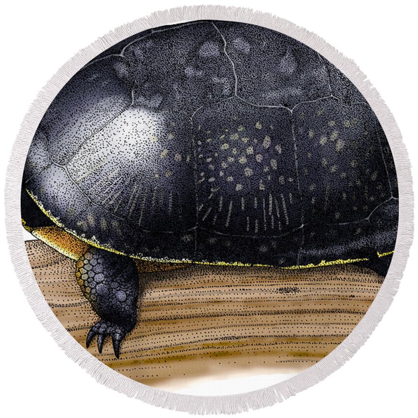 Art Round Beach Towel featuring the photograph Blandings Turtle by Roger Hall