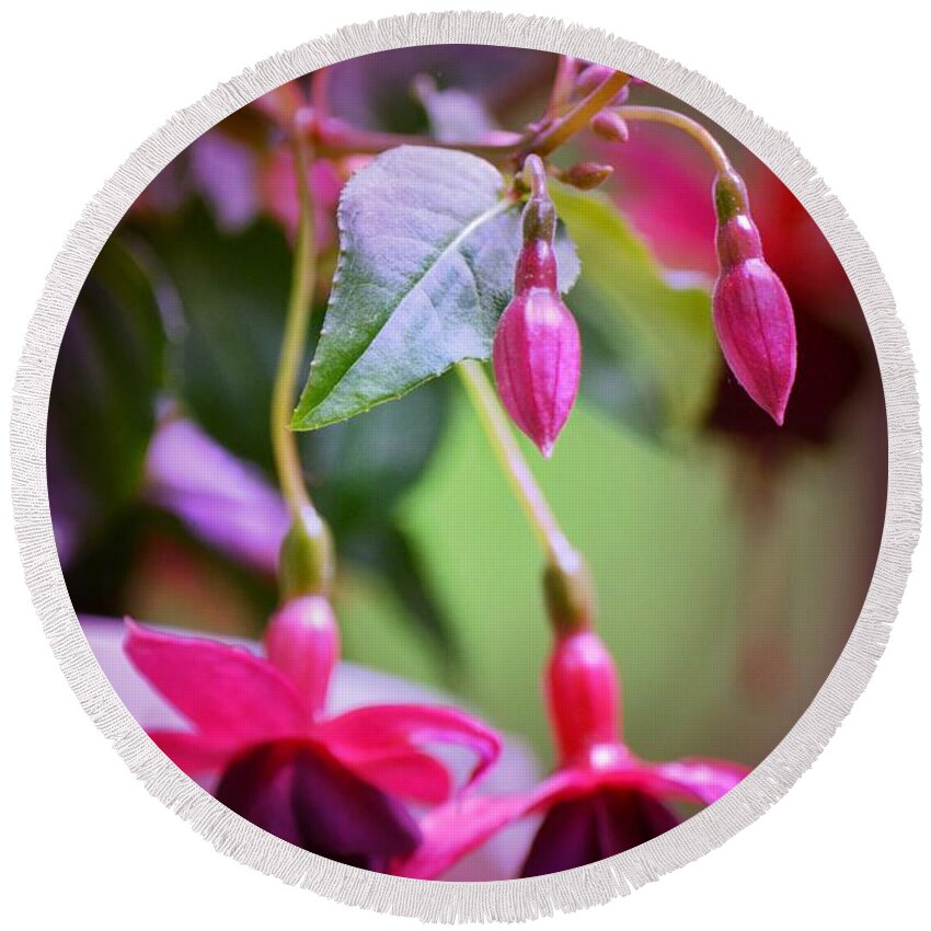 Flower Round Beach Towel featuring the photograph Bleeding Hearts by Denise Tomasura