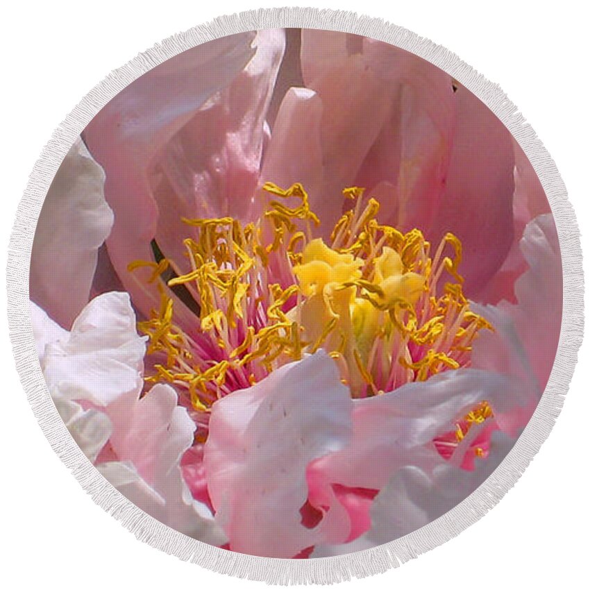 Pink Round Beach Towel featuring the photograph Blessings and Blossoms by Cindy Greenstein