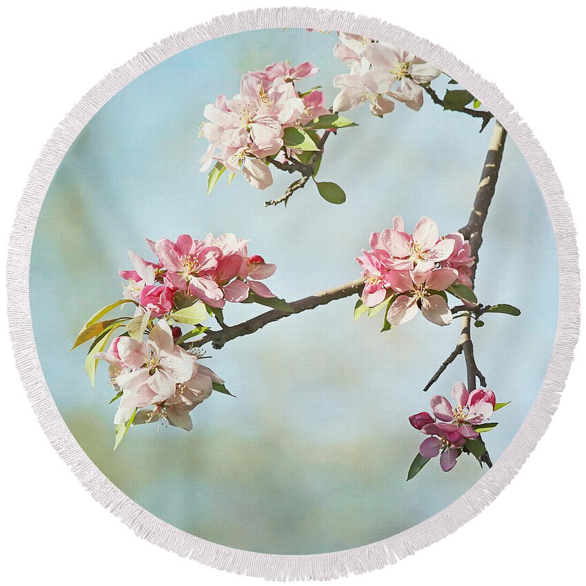 Nature Round Beach Towel featuring the photograph Blossom Branch by Kim Hojnacki