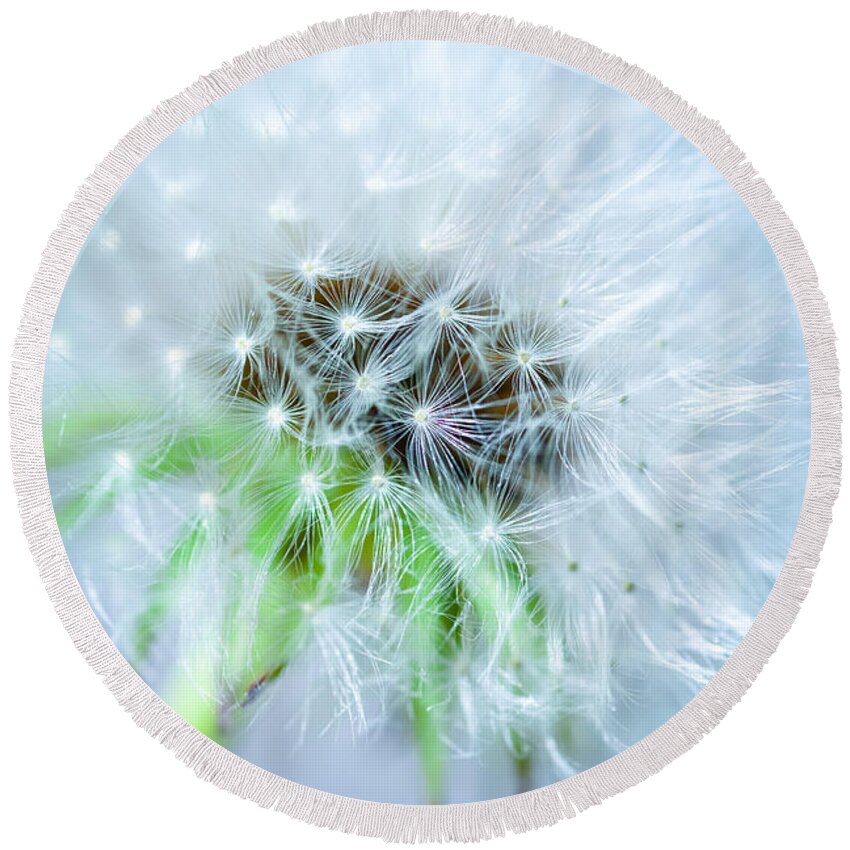 Blossom Round Beach Towel featuring the photograph Blowball - blue by Hannes Cmarits