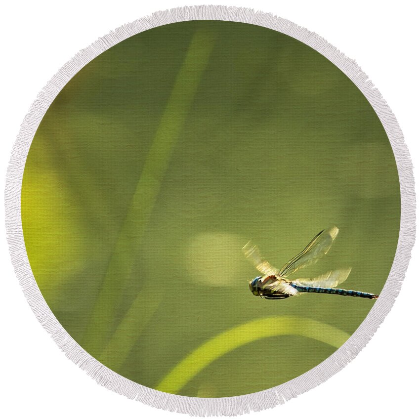 Blue Darner Round Beach Towel featuring the photograph Blue Darner Dragonfly - Green Water and Light by Belinda Greb