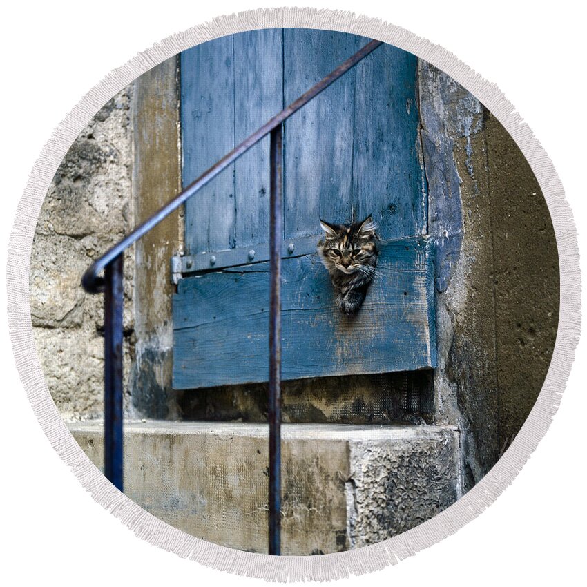 Cat Round Beach Towel featuring the photograph Blue Door with Pet Outlook by Heiko Koehrer-Wagner