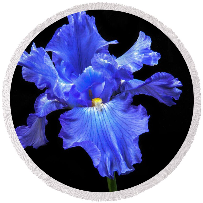 Flower Round Beach Towel featuring the photograph Blue Iris by Robert Bales