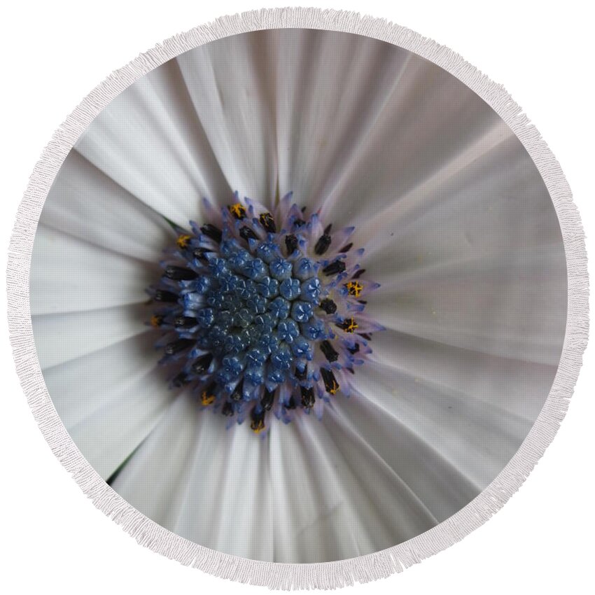 Stareye Round Beach Towel featuring the photograph Blue-white loveliness by Rosita Larsson