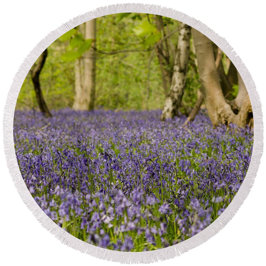 Forest Round Beach Towel featuring the photograph Bluebell Woods by Spikey Mouse Photography