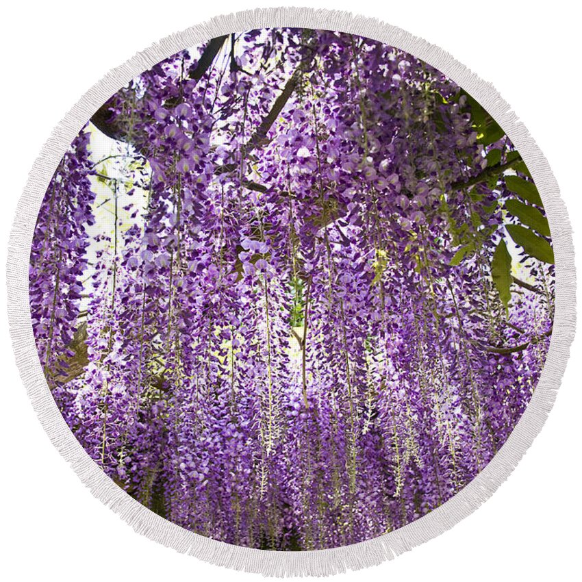 Nature Round Beach Towel featuring the photograph Bluerain Blossom by Heiko Koehrer-Wagner