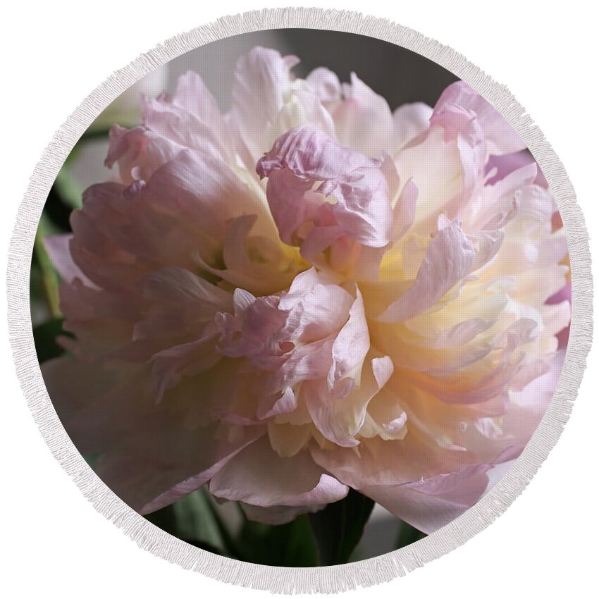 Peony Round Beach Towel featuring the photograph Blushing Peony by Rona Black