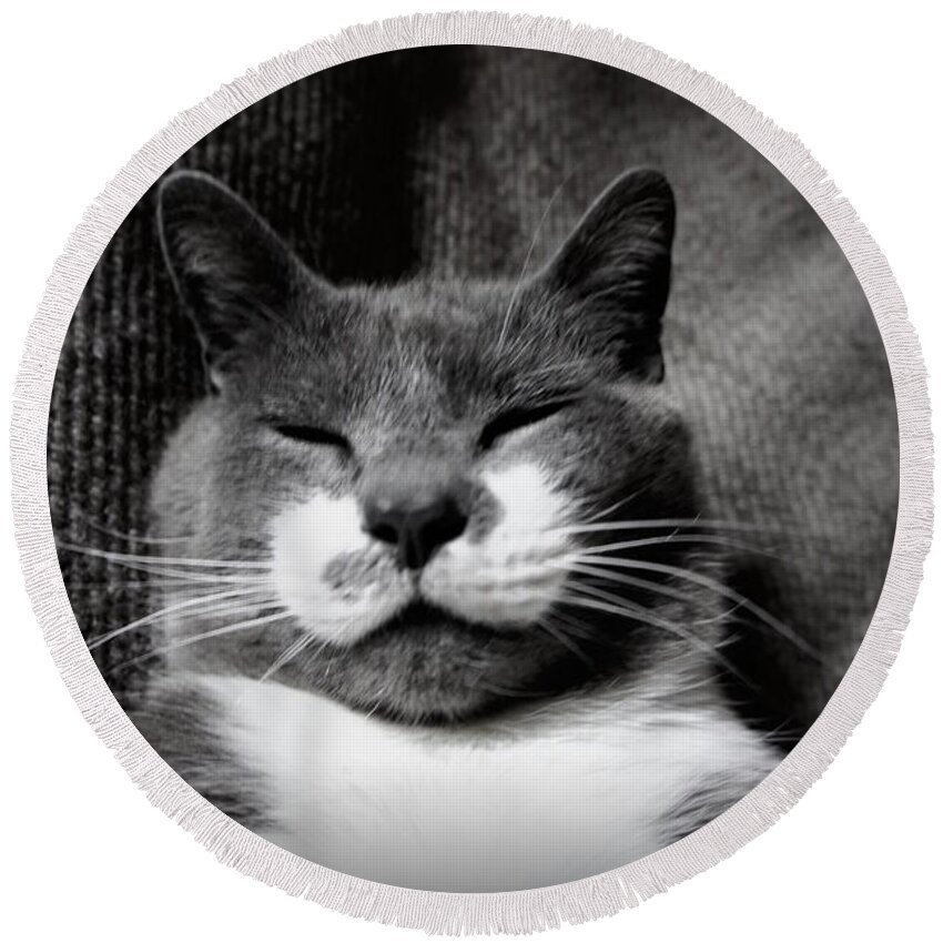 Cat Round Beach Towel featuring the photograph Boots by Laurie Perry
