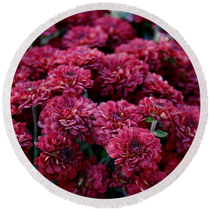 Red Mums Round Beach Towel featuring the photograph Bordo in Nature by Milena Ilieva