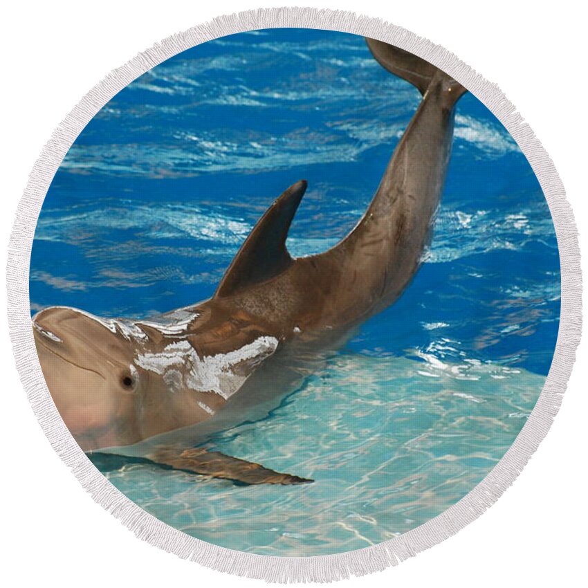 Dolphin Round Beach Towel featuring the photograph Bottlenose Dolphin by DejaVu Designs