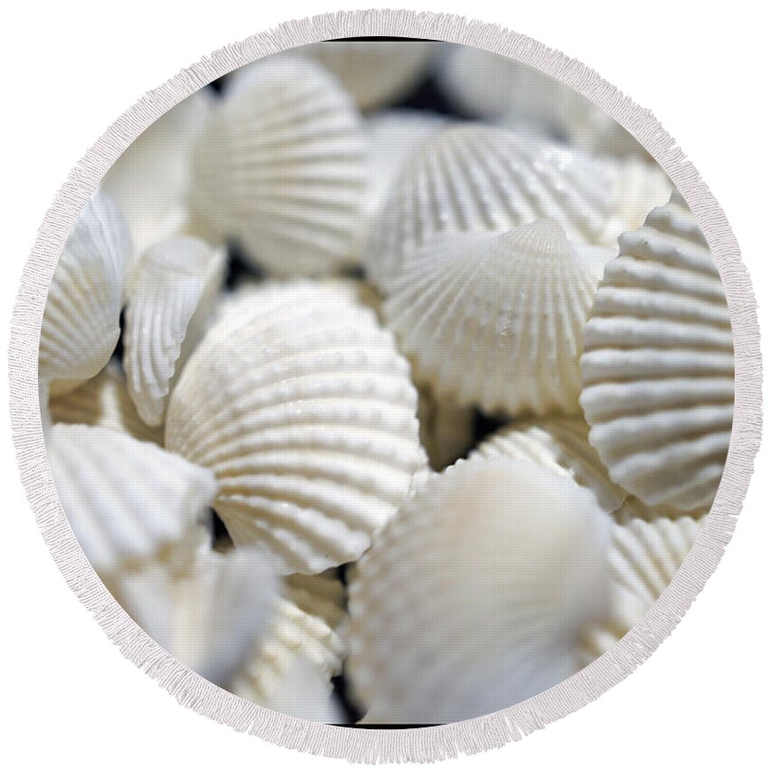 Macro Round Beach Towel featuring the photograph Bounty of Shells by Laurie Perry