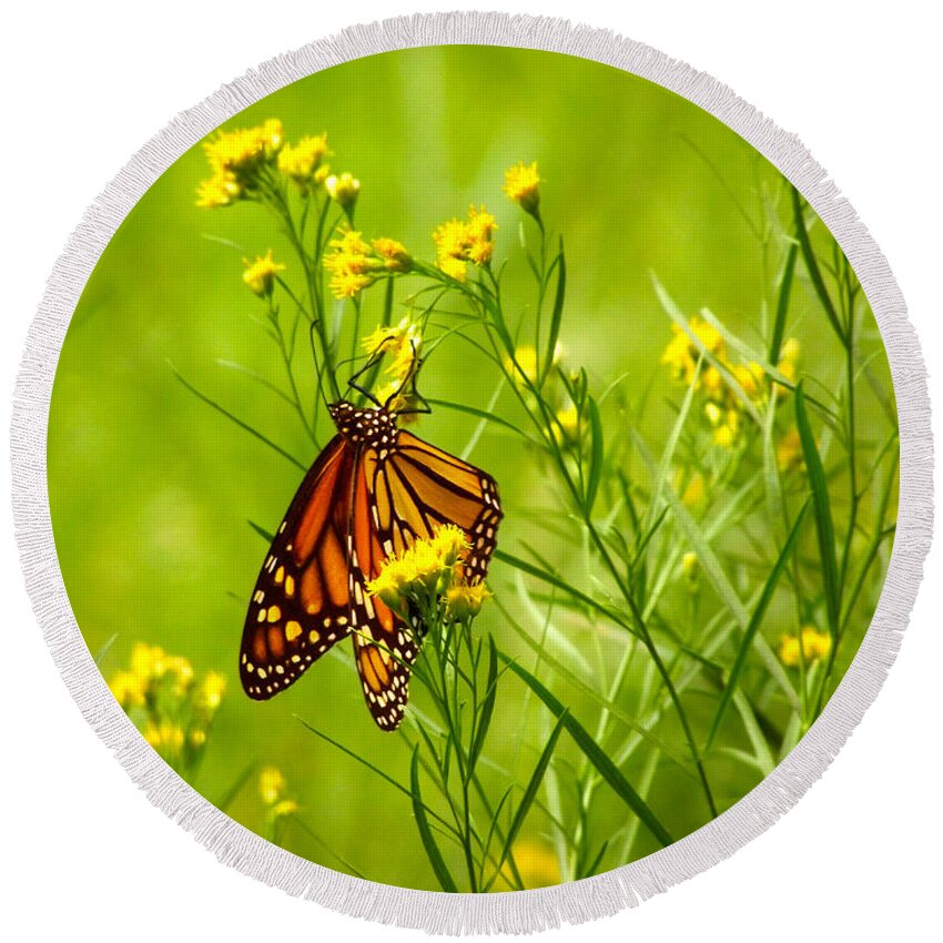 Orange Monarch Butterfly Round Beach Towel featuring the photograph Brightly Colored Monarch Butterfly In A Meadow Of Yellow Flowers by Jerry Cowart