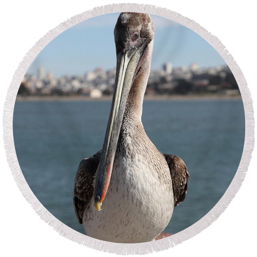 San Francisco Round Beach Towel featuring the photograph Brown Pelican At The Torpedo Wharf Fising Pier Overlooking The City of San Francisco 5D21685 by Wingsdomain Art and Photography