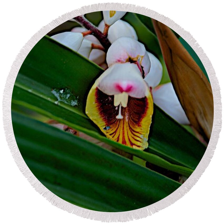 Blossom Round Beach Towel featuring the photograph Bug by Joseph Yarbrough