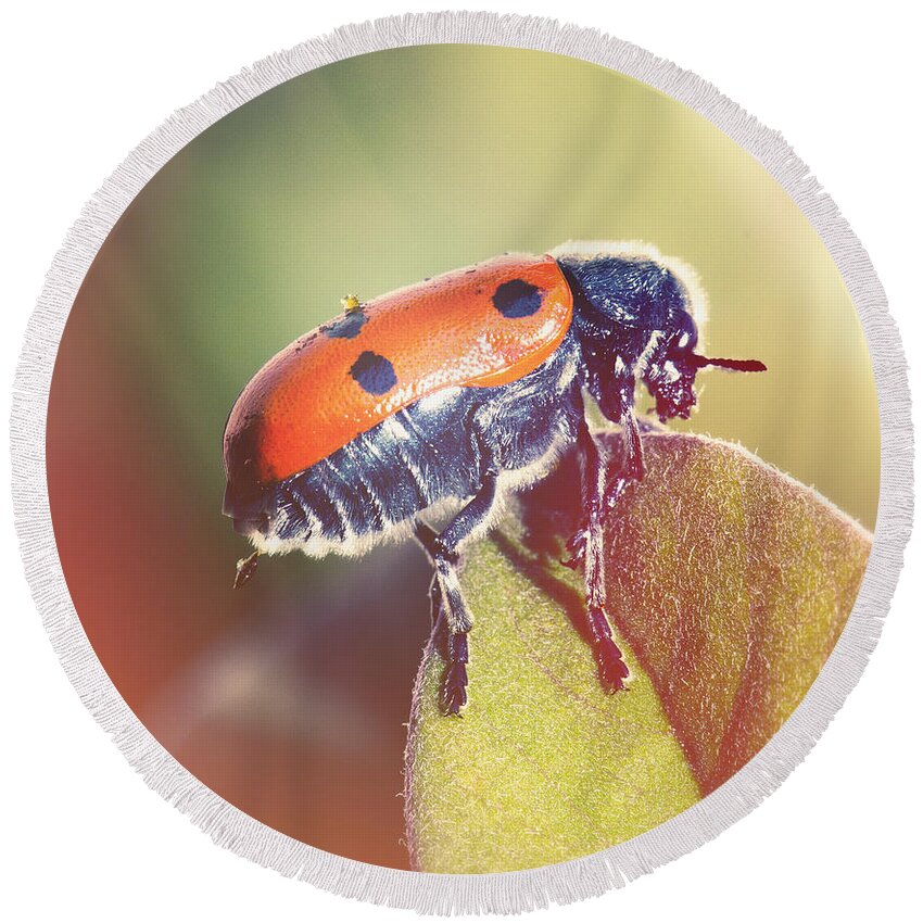 Bug Red Leaf Retro Light Instagram Square Nature Insect Green Life Greenery Dots Points Lady Bug Light Leak Round Beach Towel featuring the photograph Bug on a leaf by Perry Van Munster
