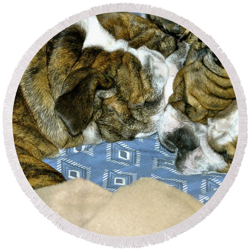 Bulldog Round Beach Towel featuring the photograph Bulldog Love Forever by Lehua Pekelo-Stearns