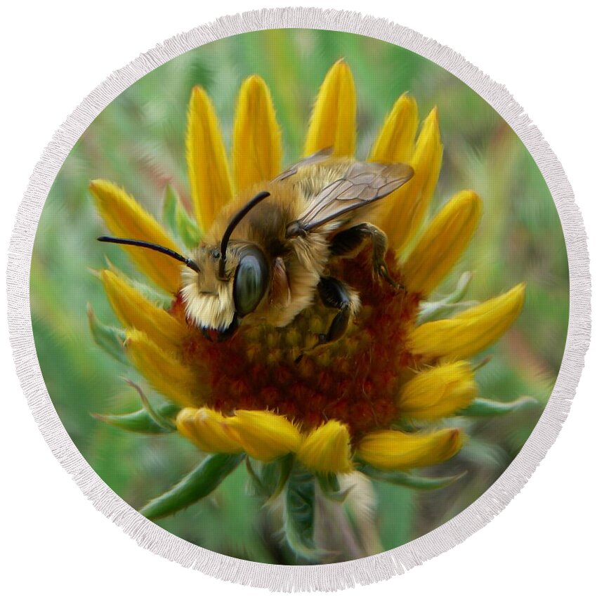 Bumble Bee Beauty Round Beach Towel featuring the photograph Bumble Bee Beauty by Barbara St Jean