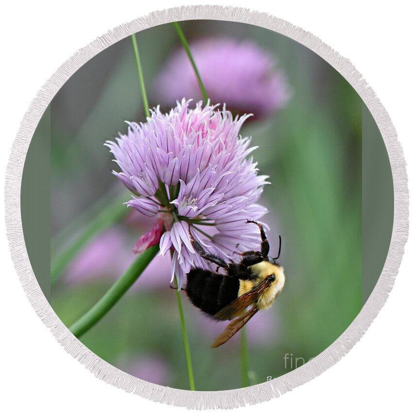 Flower Round Beach Towel featuring the photograph Bumblebee on Clover by Barbara McMahon