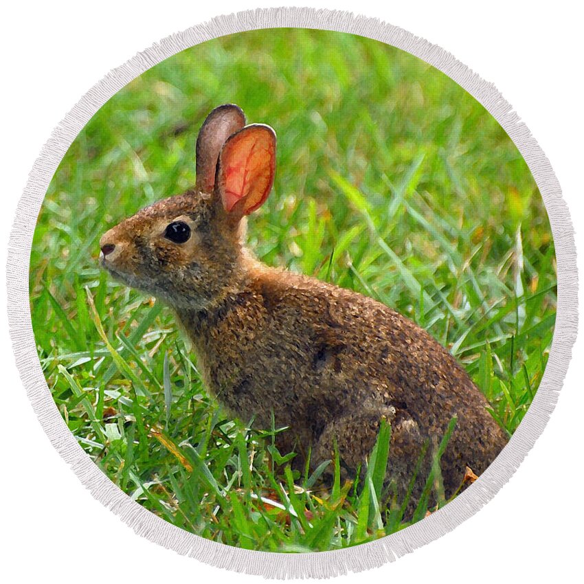 Bunny Round Beach Towel featuring the photograph Bunny by Kerri Farley