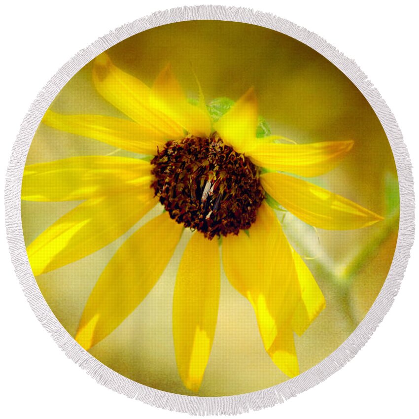 Peggy Franz Photography Round Beach Towel featuring the photograph Burst of Sun Shine Wildflower by Peggy Franz