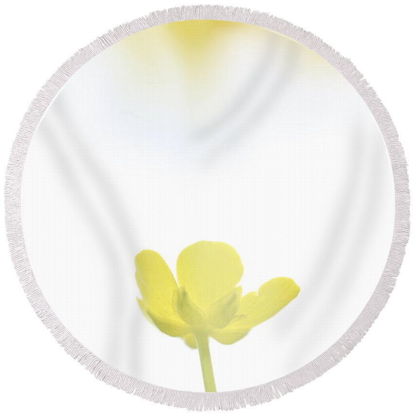 Beautiful Round Beach Towel featuring the photograph Buttercup bathing in spring sunshine by Ulrich Kunst And Bettina Scheidulin