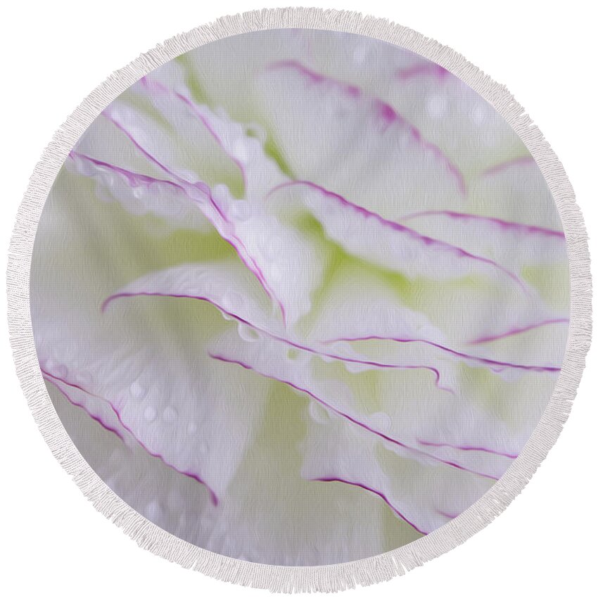 Buttercup Round Beach Towel featuring the photograph Buttercup flower with Dew by Nailia Schwarz